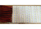 C.C. clara conduzida rígida 5V da tira dos PCes da tira dura 144 do diodo emissor de luz de SMD5630 IP20